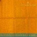 Marigold Orange Pure Handloom Cotton Silk Saree with Sea Green Zari Border